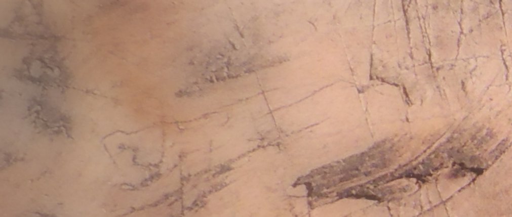 Detalj av stol skåret ut av en treknute
